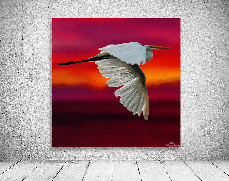 Egret in sunset Wall Preview