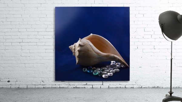 Single Conch Shell With Colored Glass  Wall Preview