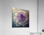 Ethereal Bloom  Acrylic Print