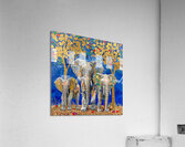 Wisdom Acrylic Print