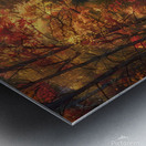 Train Ride Through the Country  Metal print