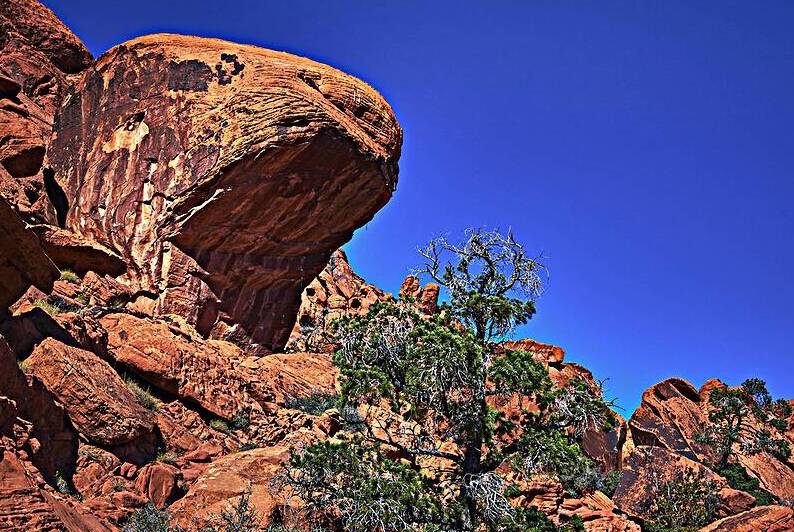 Seal Head Rock Red Sandstone Formation and Hiker in Red Rock Can by Nicholas J Klein