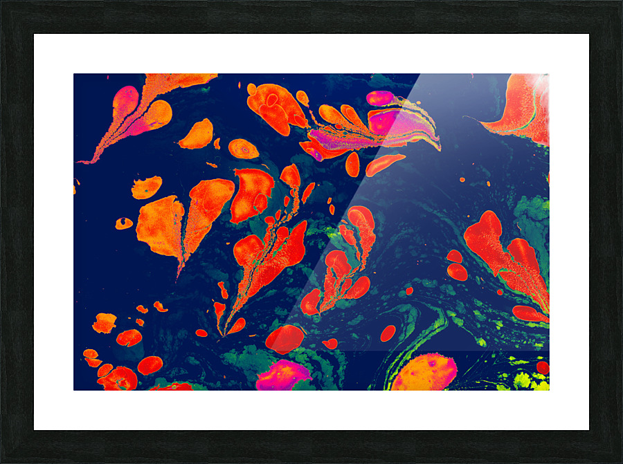 fgfs Picture Frame print