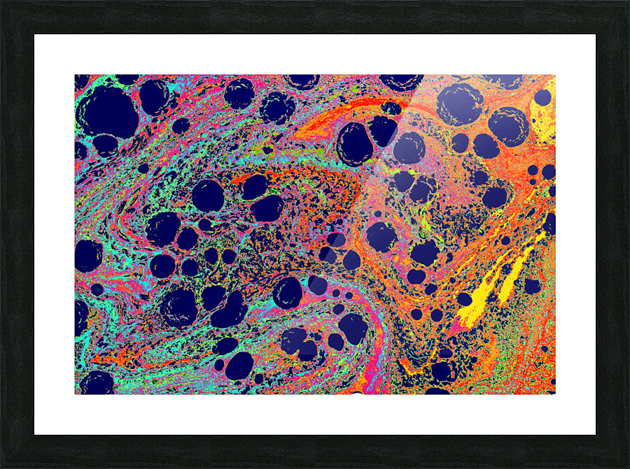 e465er Picture Frame print