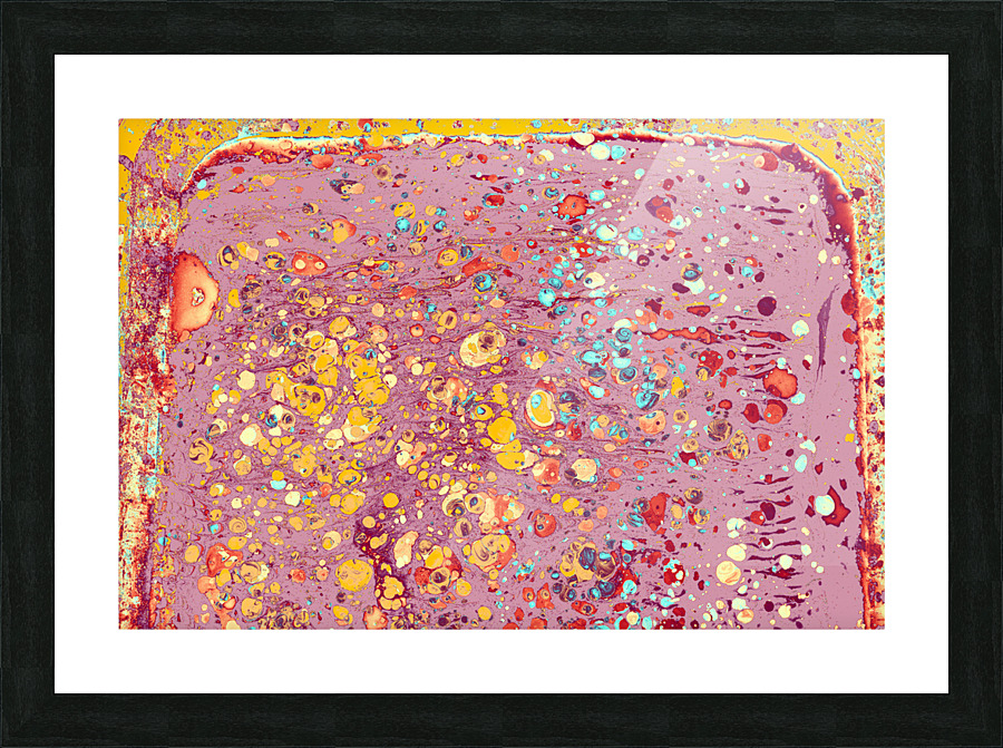 fdb Picture Frame print