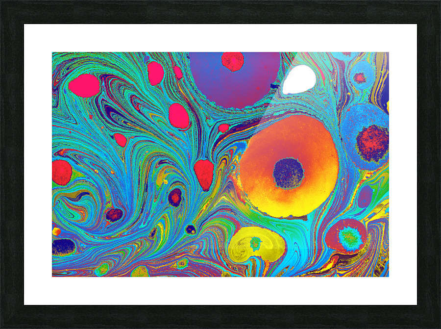 fdfsh Picture Frame print