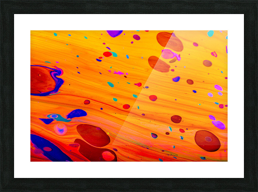DSC 0996 6 Picture Frame print