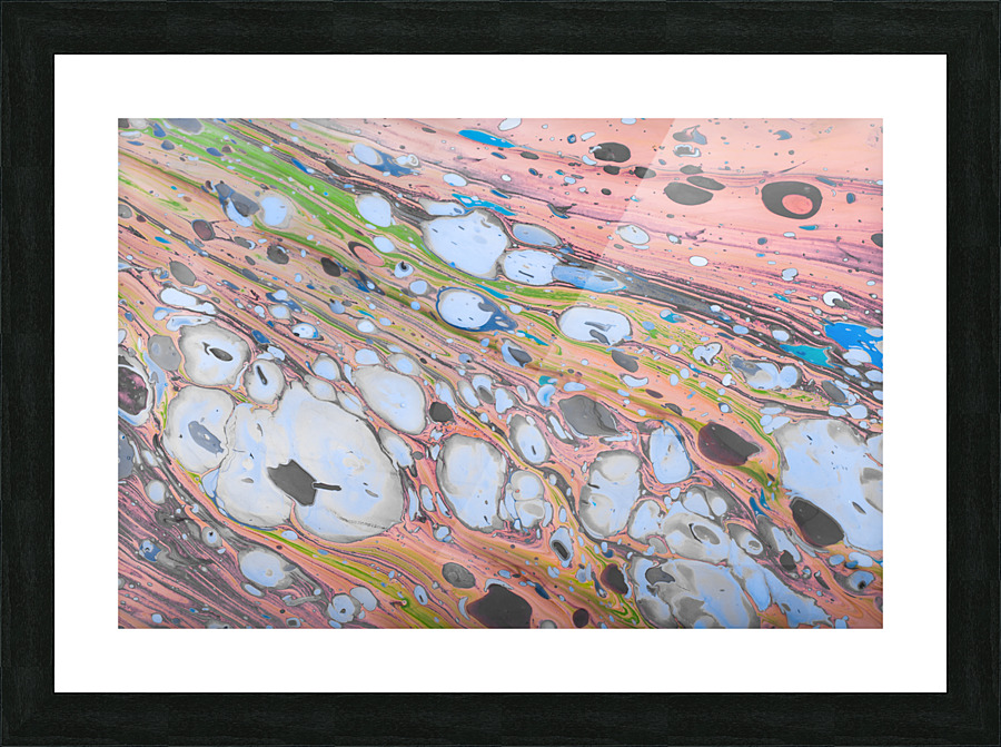 DSC 1005 6 Picture Frame print