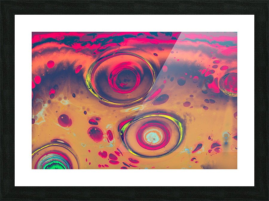 DSC 1021 7 Picture Frame print