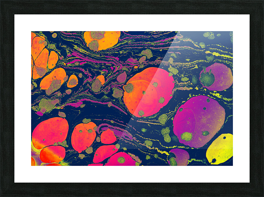 fgfgsd 4 Picture Frame print
