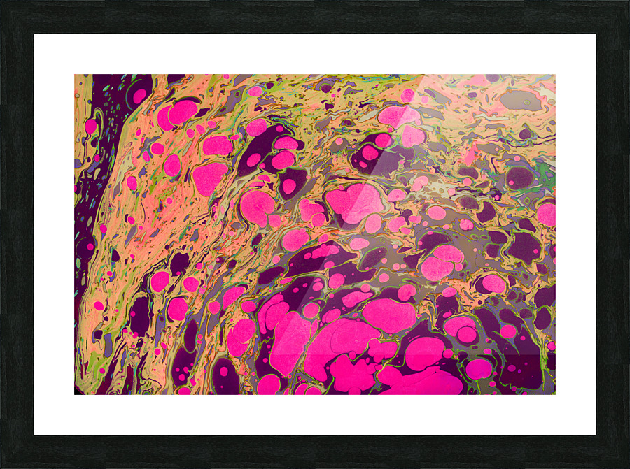 hhdfh Picture Frame print