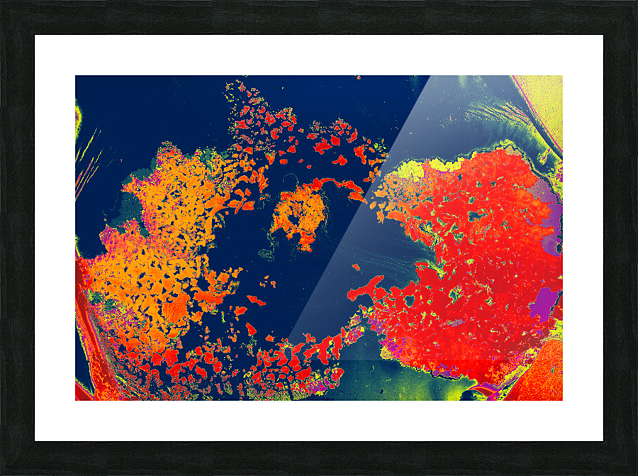 gfggs 3 Picture Frame print