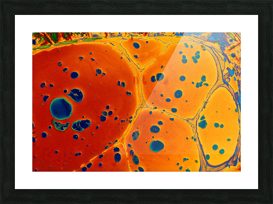 kjhgk  2 Picture Frame print