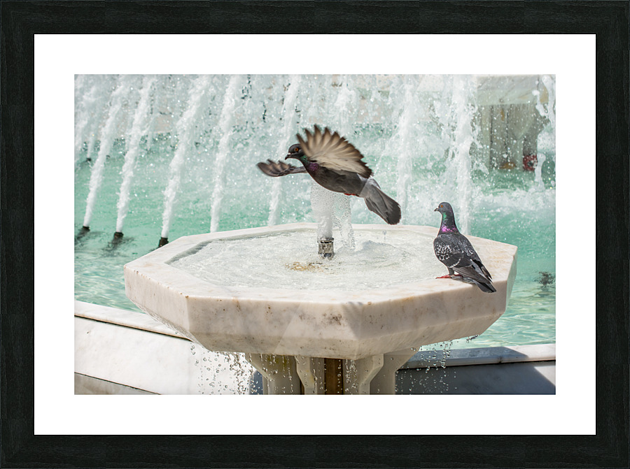 DSC 8898 Picture Frame print