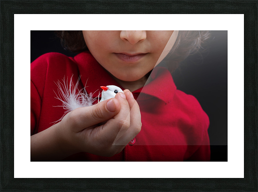 DSC 9159 Picture Frame print