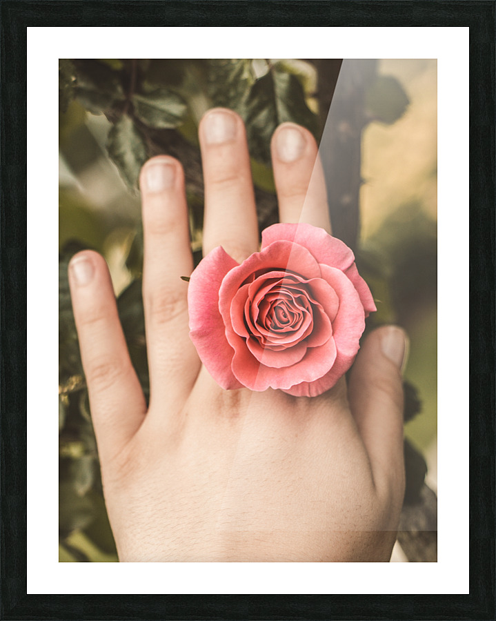 tttIMG 8558 Picture Frame print