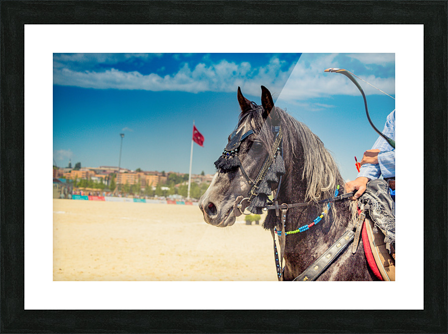 untitledIMG 6663 Picture Frame print