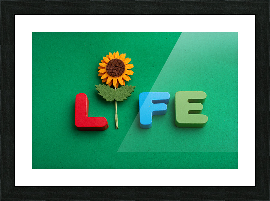 DSC 3770 5 Picture Frame print