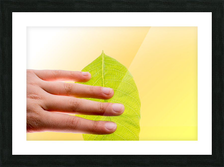 34ty4y45y Picture Frame print