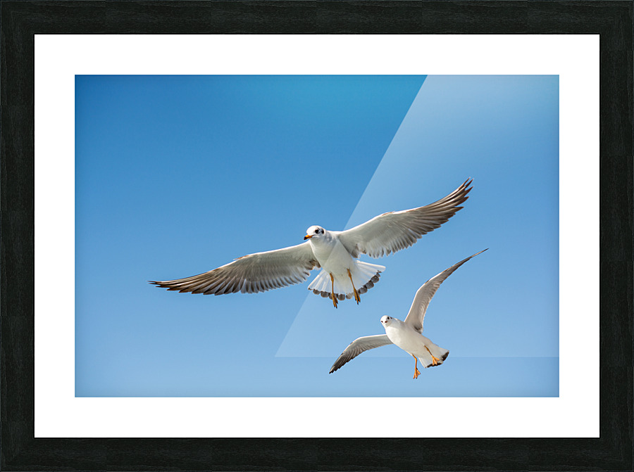 DSC 35y61 Picture Frame print