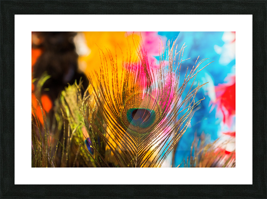 DSC 2481 4 Picture Frame print