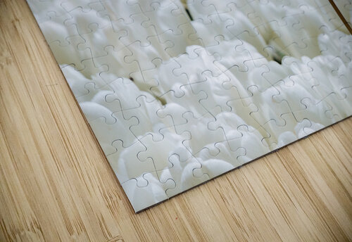 tttIMG 0115 Turgay Koca puzzle