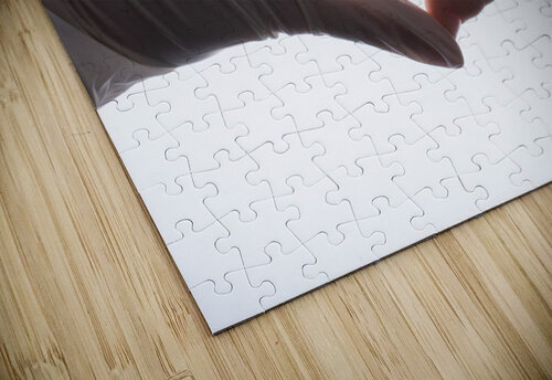 DSC 9988 Turgay Koca puzzle