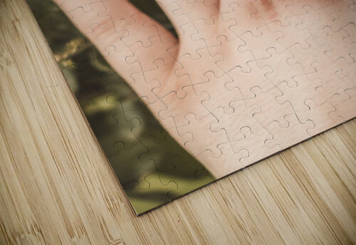 tttIMG 8558 Turgay Koca puzzle