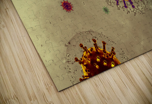 kuku Turgay Koca puzzle