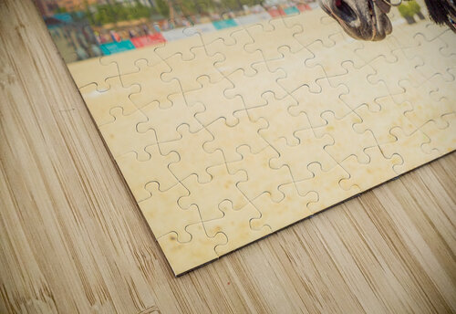 untitledIMG 6663 Turgay Koca puzzle