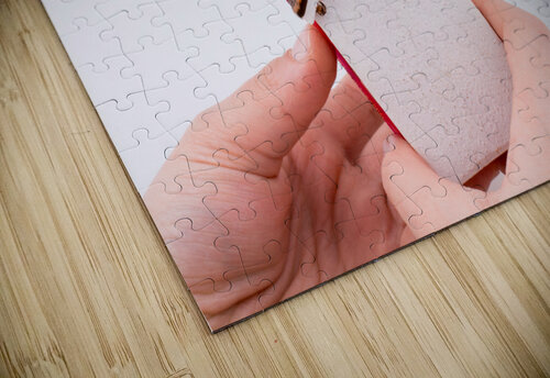 DSC 2319 5 Turgay Koca puzzle