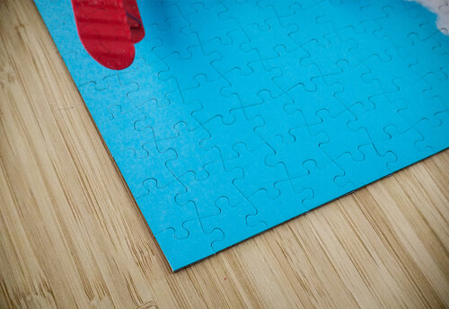 DSC 2087 5 Turgay Koca puzzle