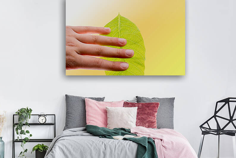 34ty4y45y Reproduction