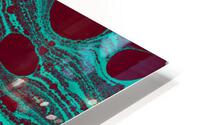 fgdh HD Metal print