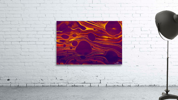 fggsd Wall Preview