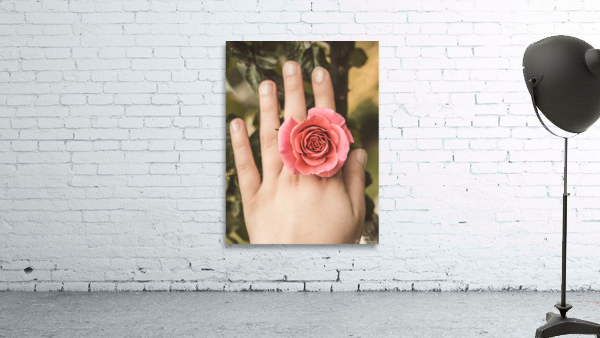 tttIMG 8558 Wall Preview