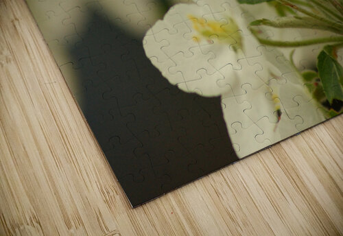 Blossom tree bud Pixcellent Adventures puzzle