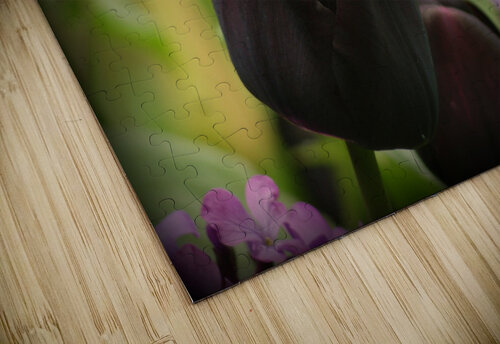 Black Tulip Pixcellent Adventures puzzle
