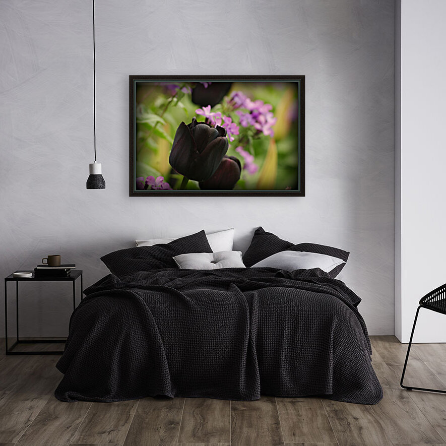 Black Tulip Reproduction