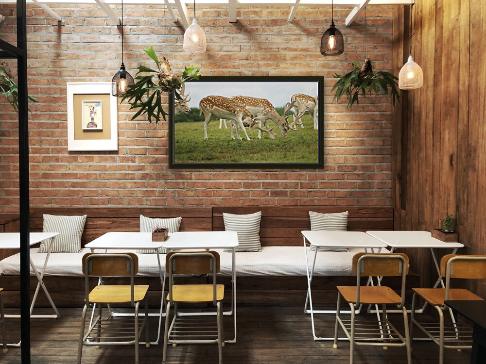 Deer group Reproduction