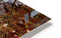 Autumn waterfall HD Metal print