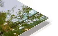 Enjoying the view HD Metal print