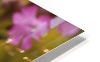 Wildflowers HD Metal print
