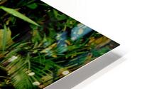 Looking up HD Metal print