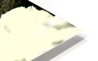 Hidden View HD Metal print