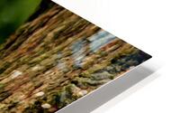 On a Branch HD Metal print