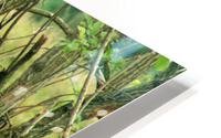 Hide and Seek HD Metal print