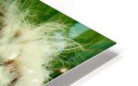 Snoozing Floof  HD Metal print