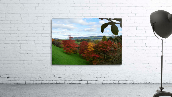 Natural fire Wall Preview