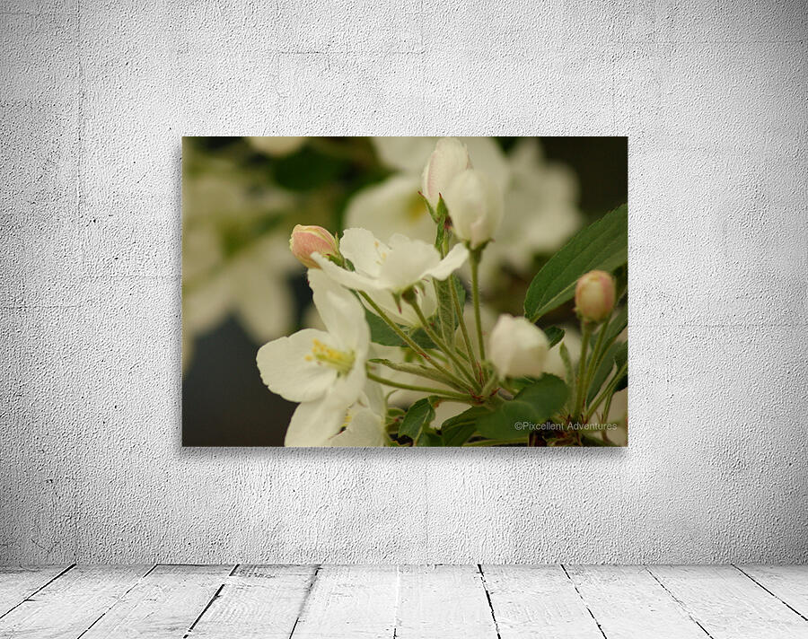 Blossom tree bud Wall Preview